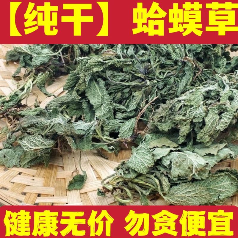 水洗干蛤蟆草，鲜蛤蟆草，带根蛤蟆草，去根蛤蟆草，无硫无杂