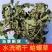 水洗干蛤蟆草，鲜蛤蟆草，带根蛤蟆草，去根蛤蟆草，无硫无杂