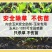 玉米苗后除草剂除恶性杂草大瓶硝烟莠去津封闭除草剂农药