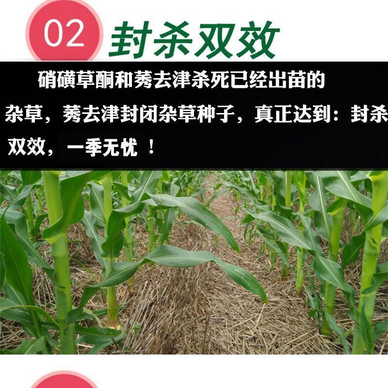 玉米苗后除草剂除恶性杂草大瓶硝烟莠去津封闭除草剂农药