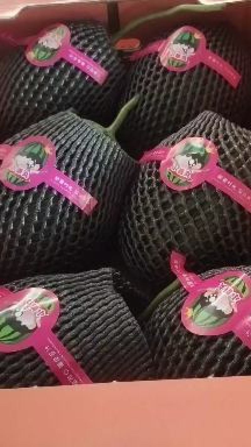 2K小糖丸西瓜大量现货供应，保证质量，全国代发