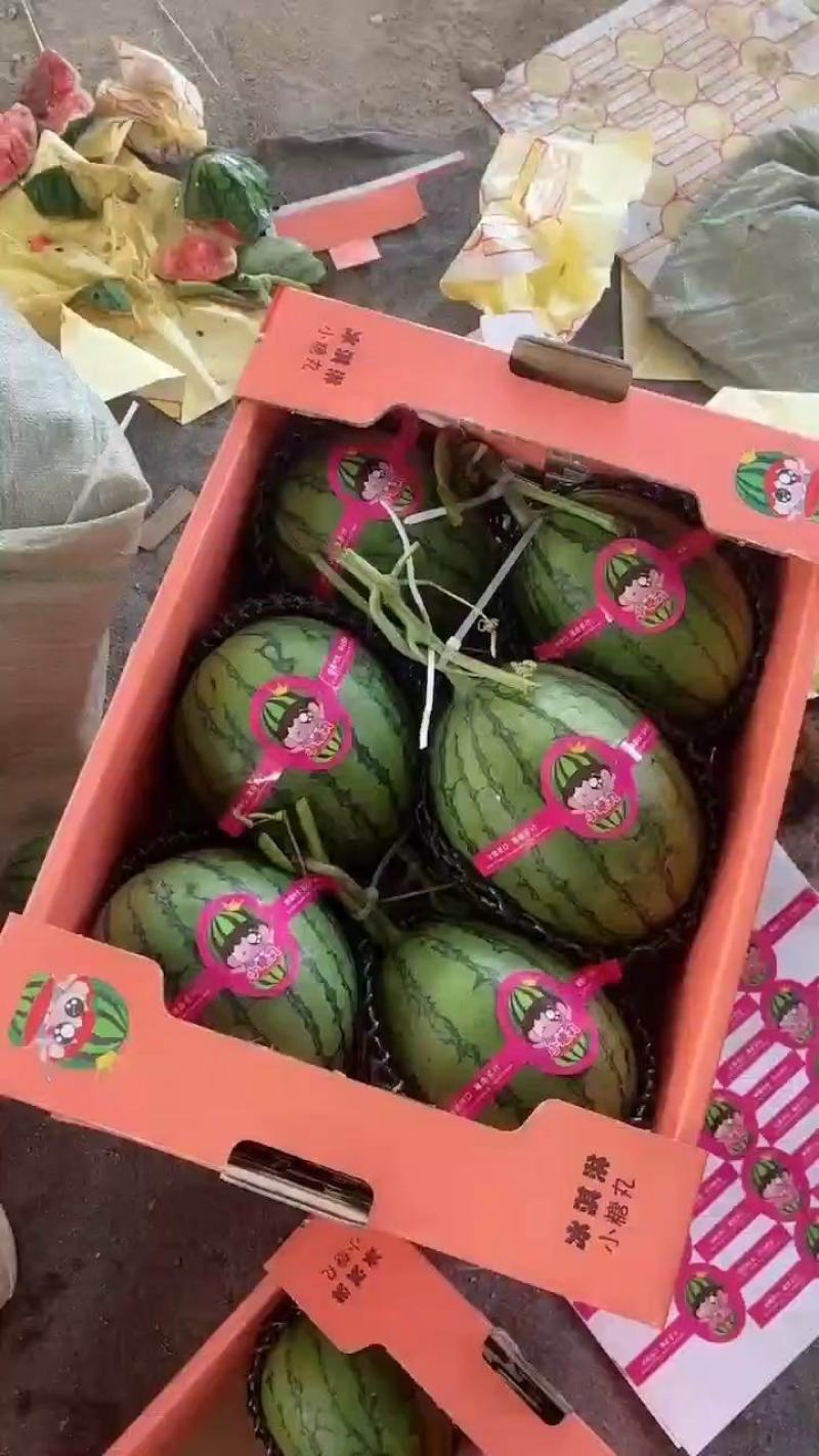 2K小糖丸西瓜大量现货供应，保证质量，全国代发