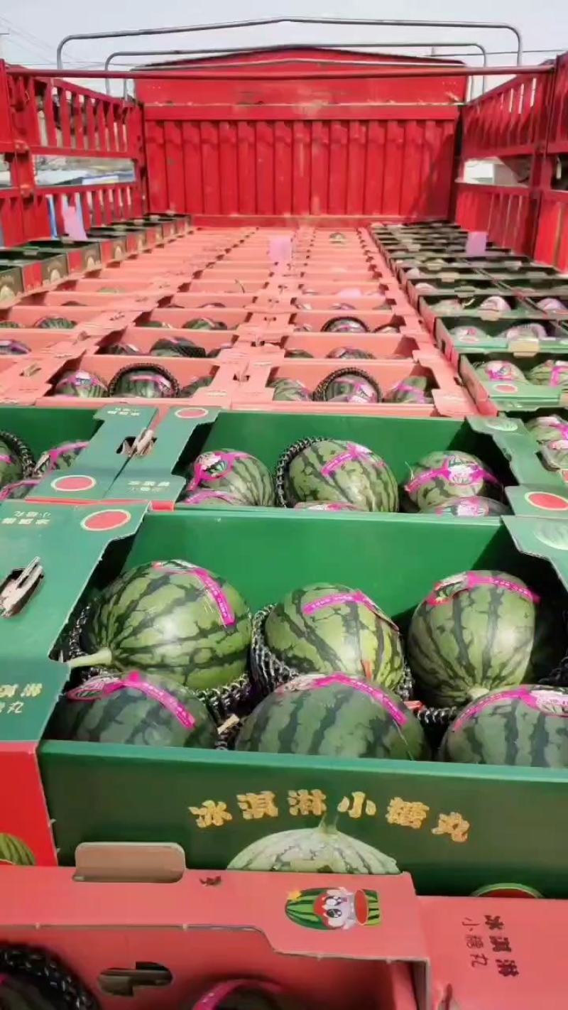 2K小糖丸西瓜大量现货供应，保证质量，全国代发