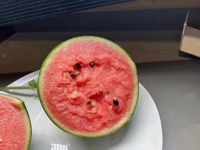 2K小糖丸西瓜大量现货供应，保证质量，全国代发