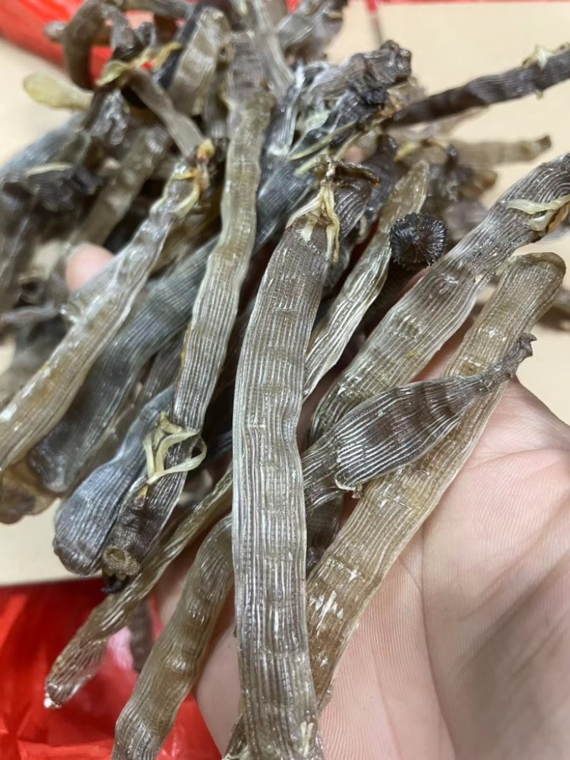 大沙虫干黑灰沙虫干无沙足干漂亮全新货价格便宜有量批发