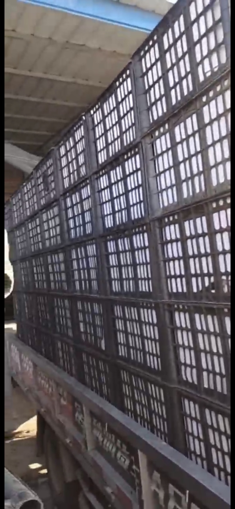 《玉露香梨》产地直供.诚信经营.大量现货