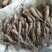 白玉山药豆苗20__30克，2两通天质量好价格低欢迎合作