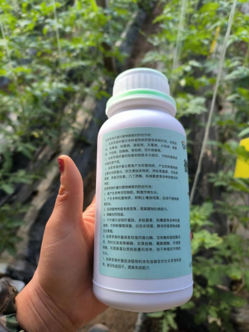 正品菌立清蔬菜果树大田通用型菌剂真菌细菌病毒杀菌克菌微生