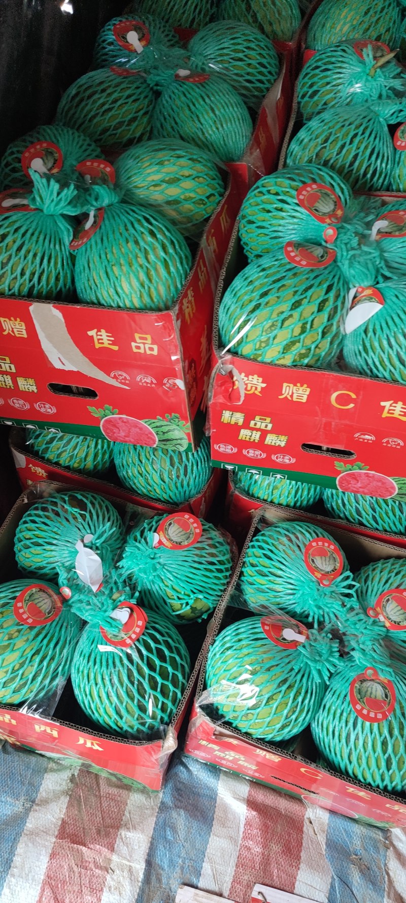 麒麟美都西瓜，全年产地直供全国