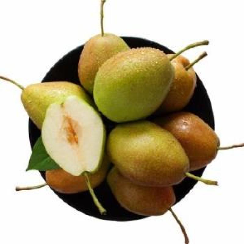 【精品红香酥梨】河北产地直发汁多味甜一手货源价格优