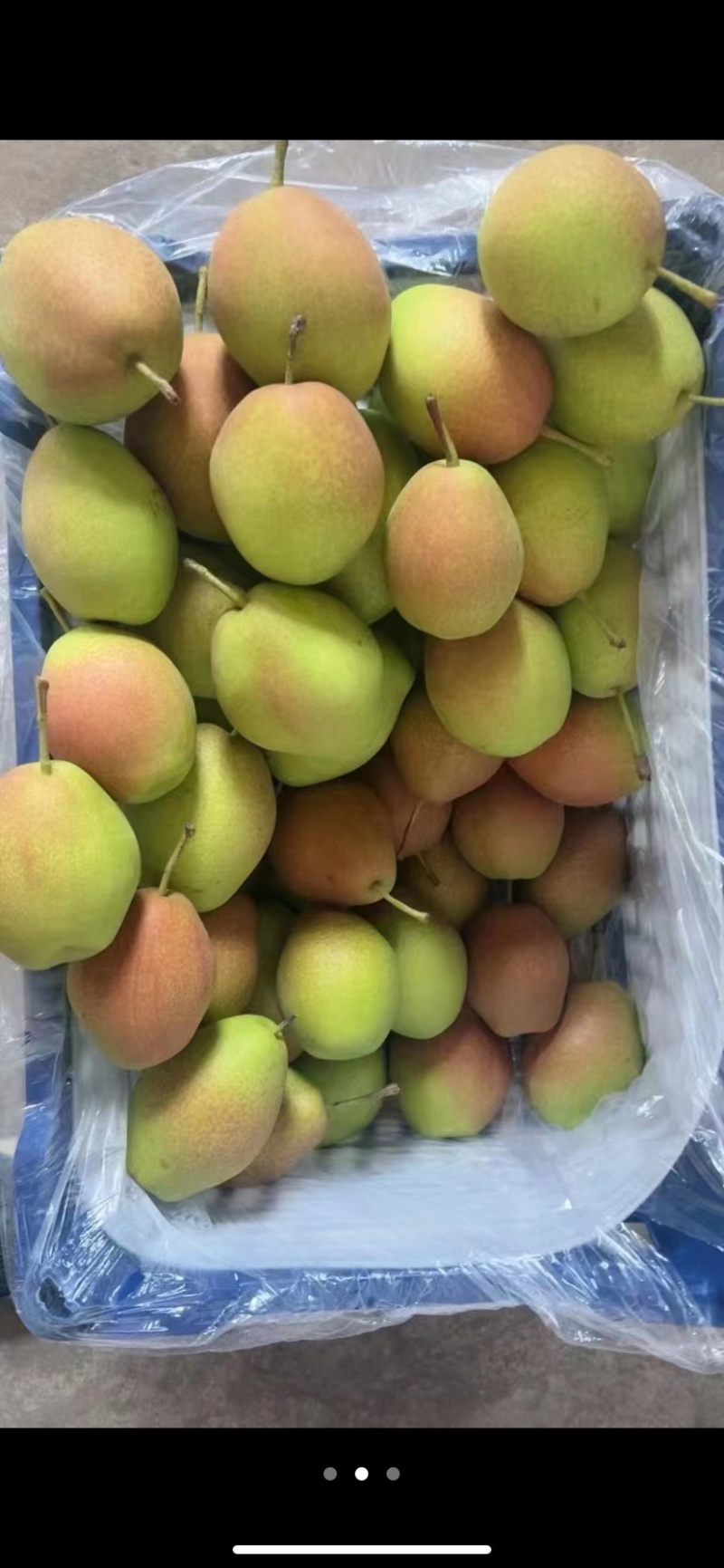 【精品红香酥梨】河北产地直发汁多味甜一手货源价格优