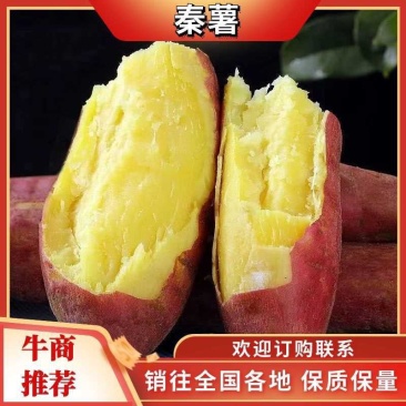 秦五，干面无丝甜，面光滑，山西运城夏县特产