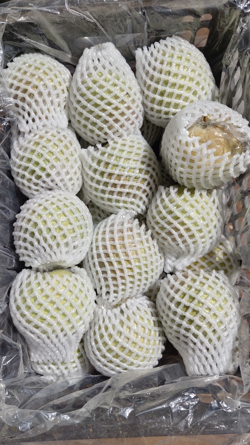 正宗玉露香梨，皮薄水份大，超甜，山西特产，山西特产