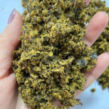 【经销商进店】棉籽饼膨化棉籽饼厂家直销养殖户降低成本