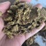 【经销商进店】棉籽饼膨化棉籽饼厂家直销养殖户降低成本