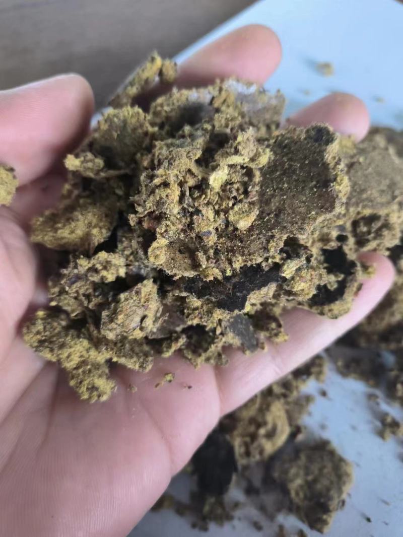 【经销商进店】棉籽饼膨化棉籽饼厂家直销养殖户降低成本