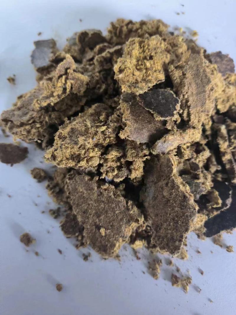 【经销商进店】棉籽饼膨化棉籽饼厂家直销养殖户降低成本