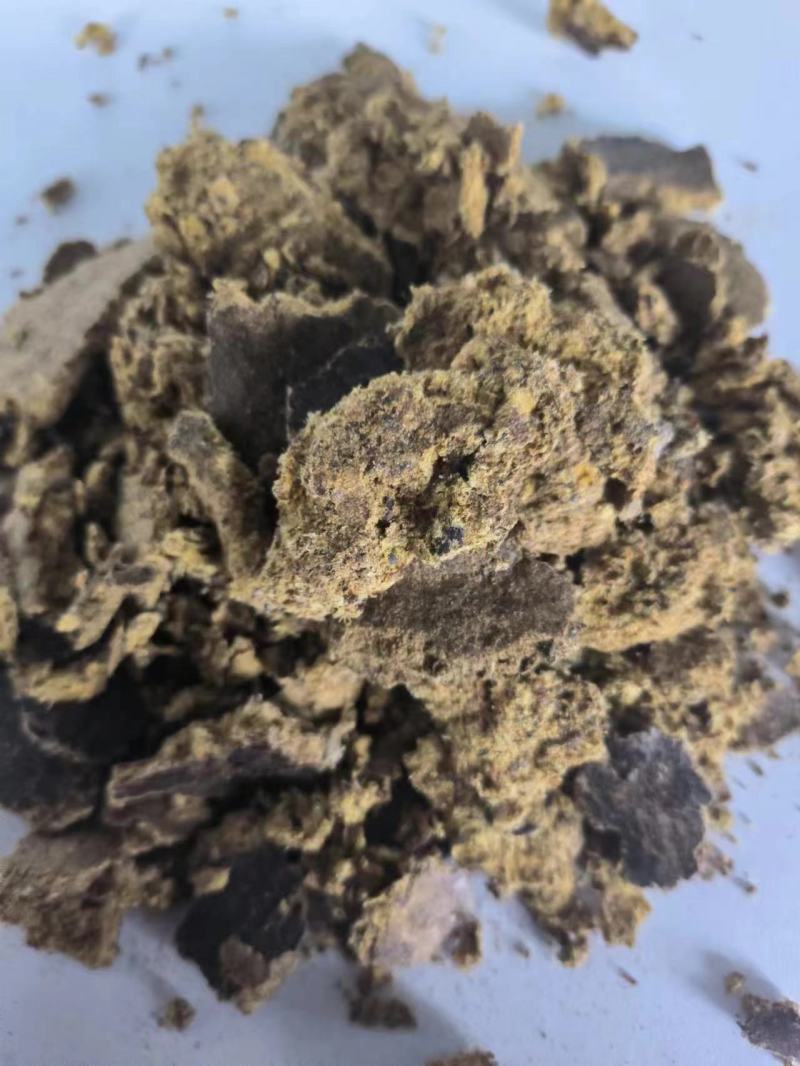 【经销商进店】棉籽饼膨化棉籽饼厂家直销养殖户降低成本