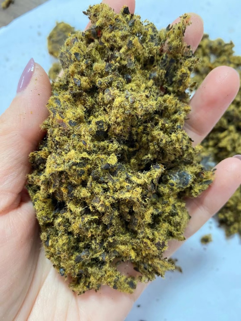 【经销商进店】棉籽饼膨化棉籽饼厂家直销养殖户降低成本