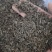 牛蒡子大力子泽润中药批发零售各种中药材