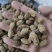 砂仁进口砂仁泽润中药批发零售各种中药材