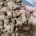 砂仁进口砂仁泽润中药批发零售各种中药材