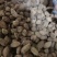 砂仁进口砂仁泽润中药批发零售各种中药材