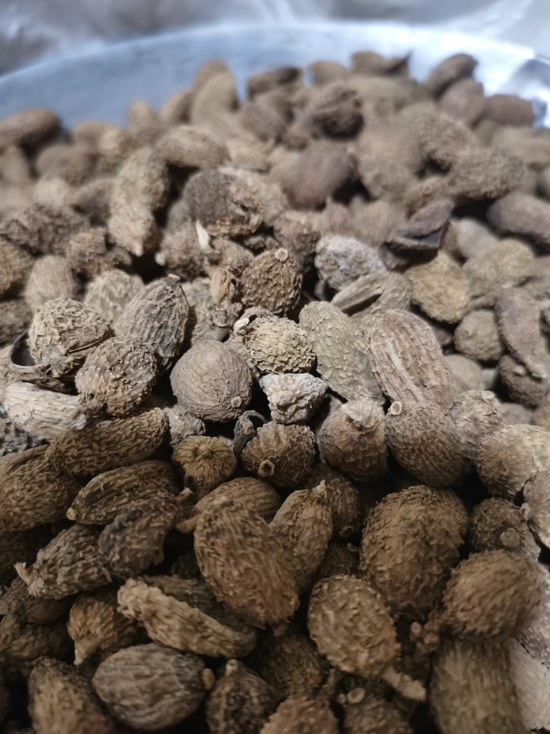 砂仁进口砂仁泽润中药批发零售各种中药材