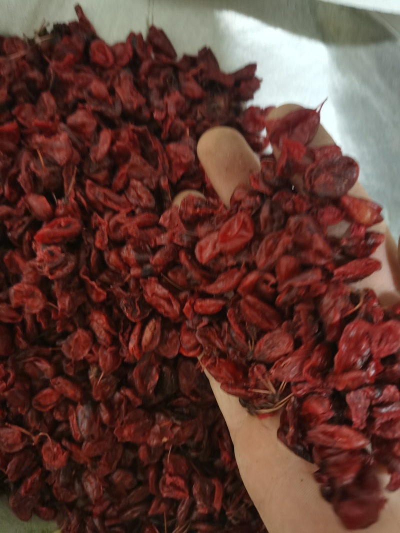 山茱萸山萸肉泽润中药批发零售各种中药材
