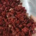 山茱萸山萸肉泽润中药批发零售各种中药材