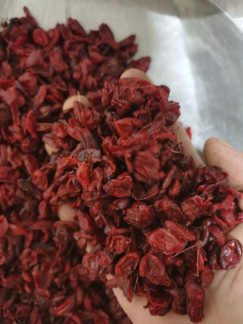 山茱萸山萸肉泽润中药批发零售各种中药材