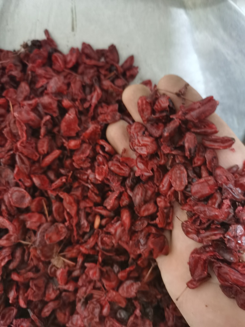 山茱萸山萸肉泽润中药批发零售各种中药材