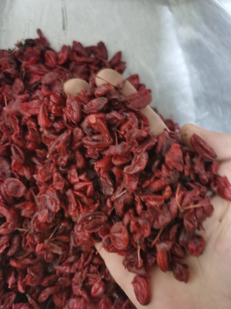 山茱萸山萸肉泽润中药批发零售各种中药材