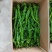 精品螺丝椒，大量有货，每天2万斤