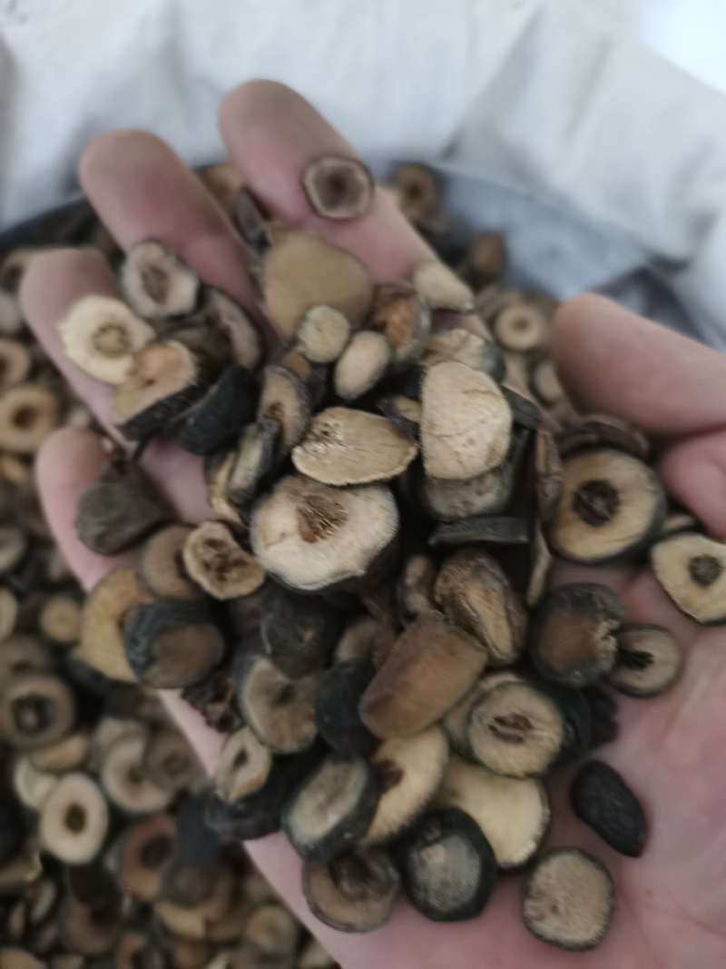 枳实各种规格泽润中药批发零售各种中药材
