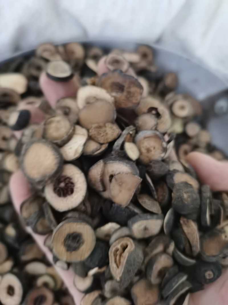 枳实各种规格泽润中药批发零售各种中药材