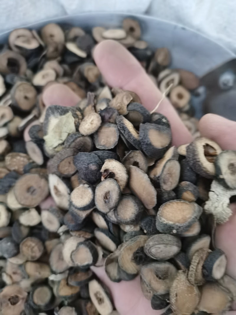 枳实各种规格泽润中药批发零售各种中药材