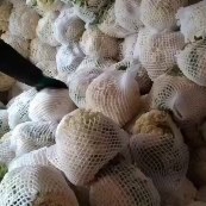 鲜花