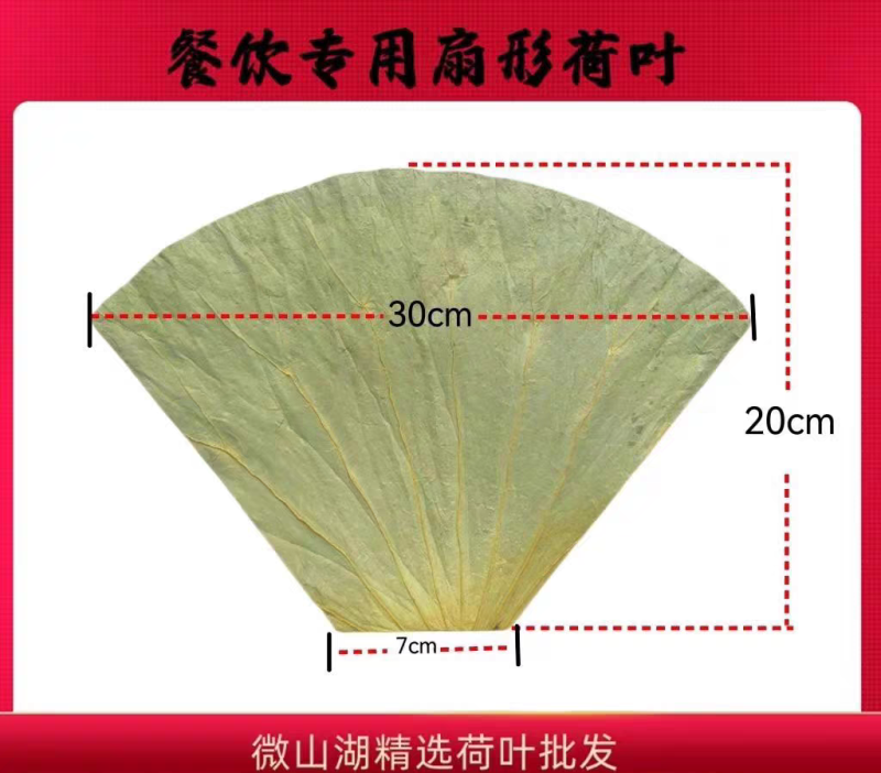 切片荷叶餐饮食品专用