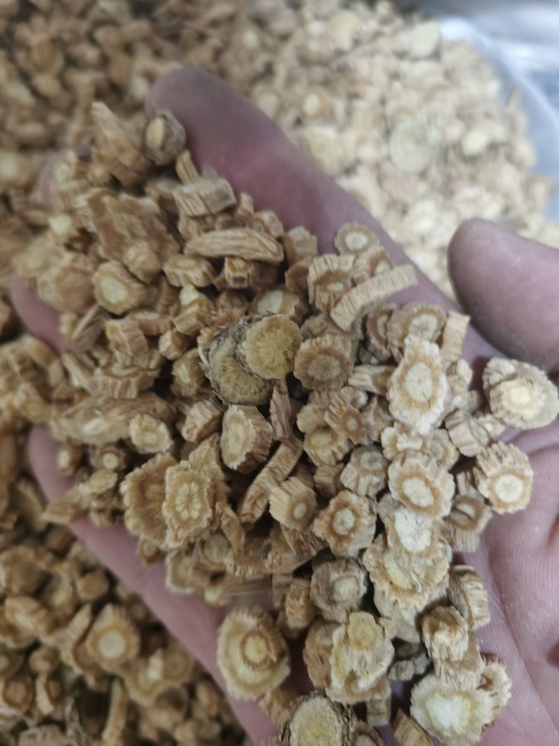 防风内蒙防风泽润中药批发零售各种中药材