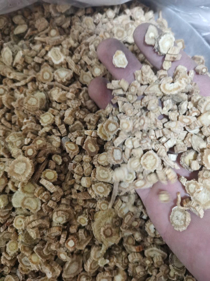 防风内蒙防风泽润中药批发零售各种中药材
