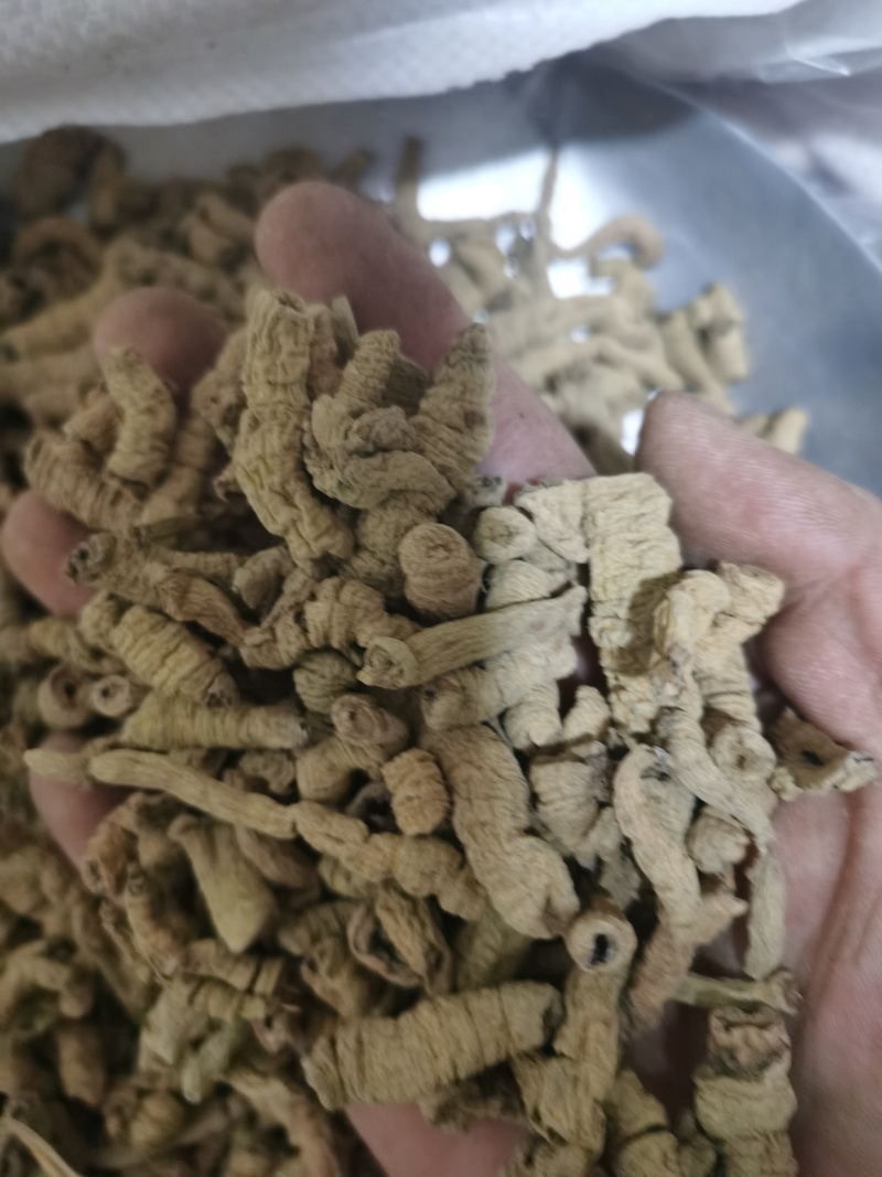 巴戟天巴戟肉中肉泽润中药批发零售各种中药材