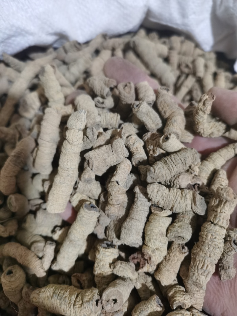 巴戟天巴戟肉中肉泽润中药批发零售各种中药材