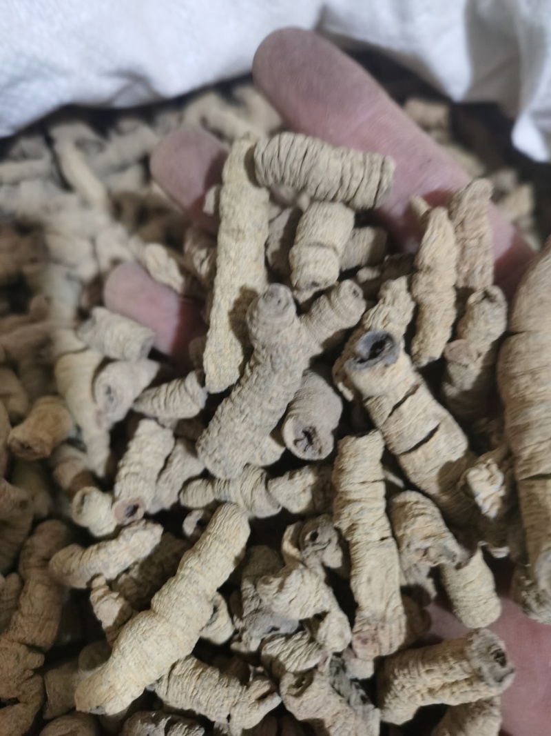 巴戟天巴戟肉中肉泽润中药批发零售各种中药材