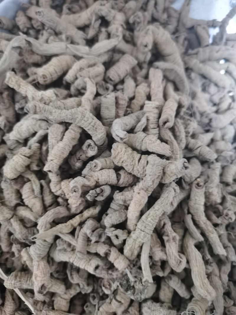 巴戟天巴戟肉中肉泽润中药批发零售各种中药材