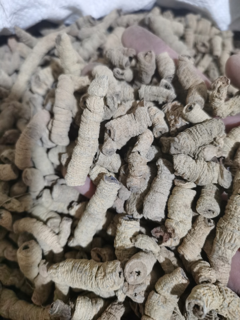 巴戟天巴戟肉中肉泽润中药批发零售各种中药材