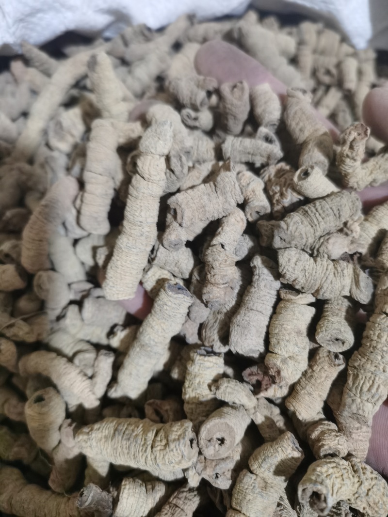 巴戟天巴戟肉中肉泽润中药批发零售各种中药材