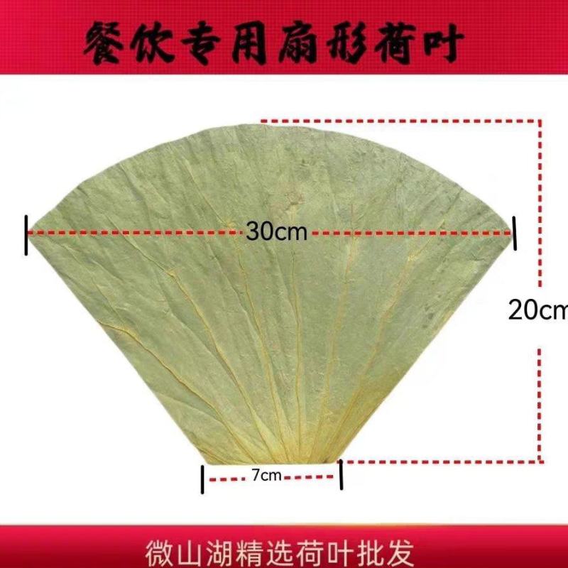 切片荷叶餐饮食品专用