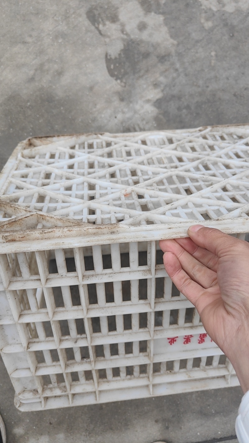 大量出售二手框子