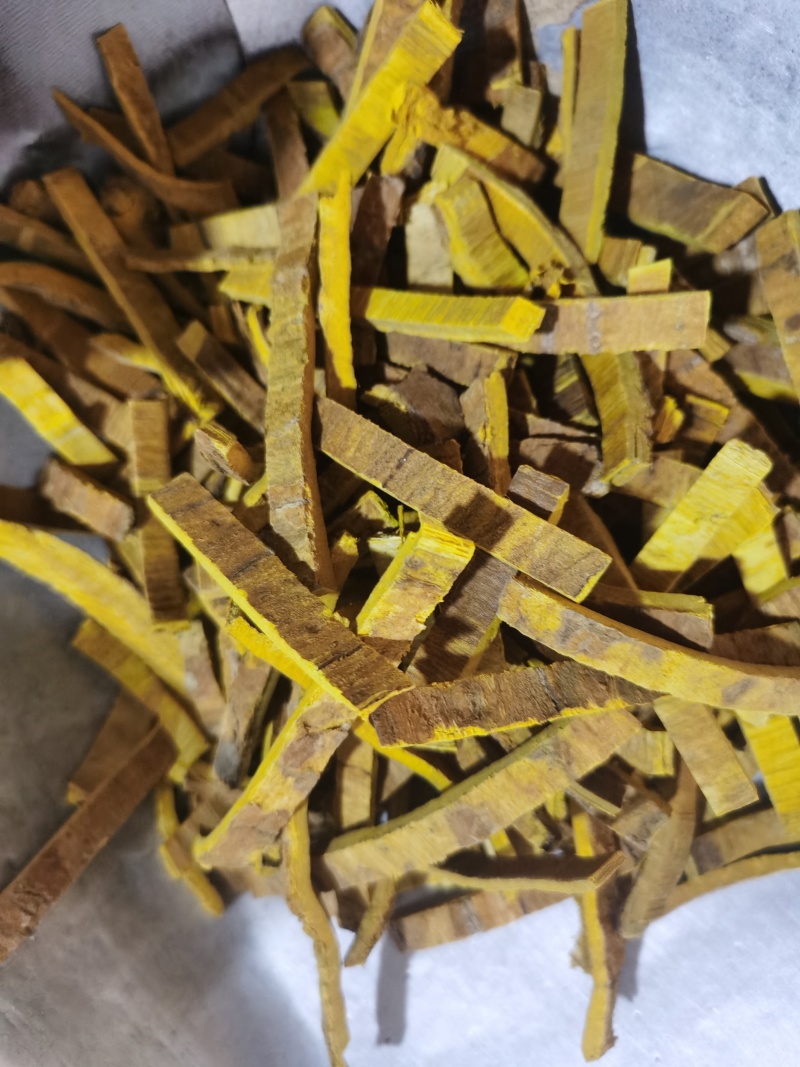 黄柏正品刮皮川黄柏双面黄批发零售各种中药材